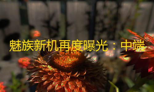 穿越火线透视自瞄免费多多云手机